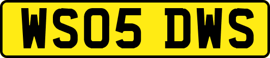 WS05DWS