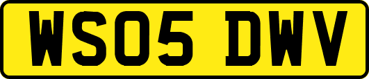 WS05DWV