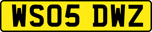 WS05DWZ