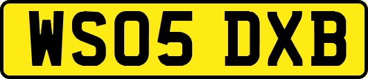 WS05DXB
