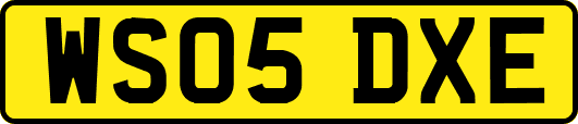 WS05DXE