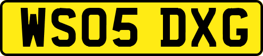 WS05DXG