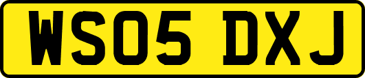 WS05DXJ