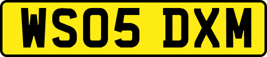 WS05DXM