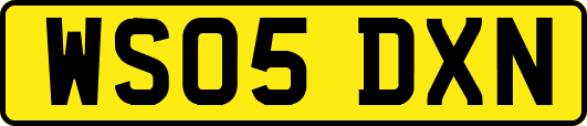 WS05DXN