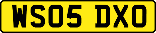 WS05DXO