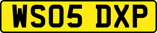 WS05DXP