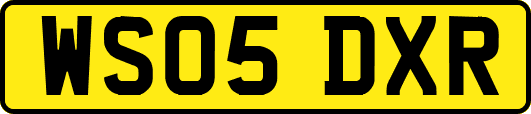 WS05DXR
