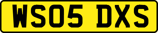 WS05DXS