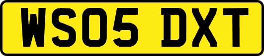 WS05DXT