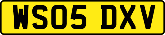 WS05DXV