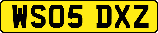 WS05DXZ