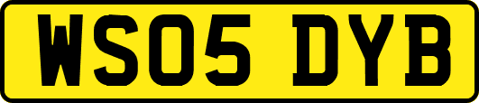 WS05DYB