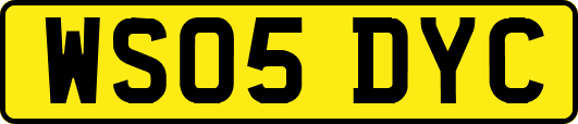 WS05DYC
