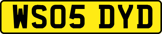 WS05DYD