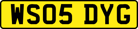 WS05DYG
