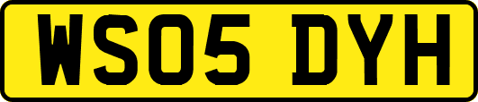 WS05DYH