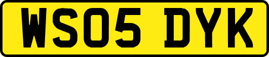 WS05DYK