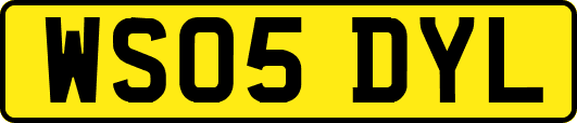 WS05DYL