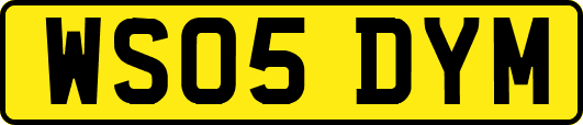 WS05DYM