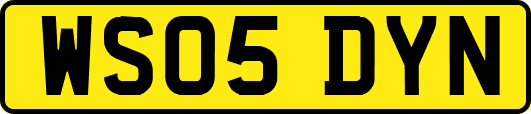 WS05DYN