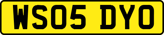 WS05DYO