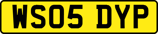 WS05DYP