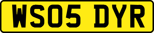 WS05DYR