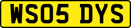 WS05DYS