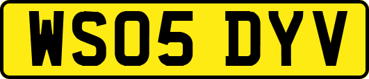 WS05DYV