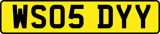WS05DYY