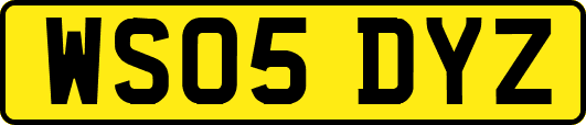 WS05DYZ