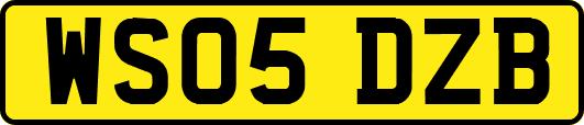 WS05DZB