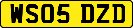WS05DZD
