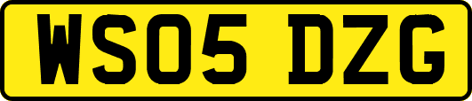 WS05DZG