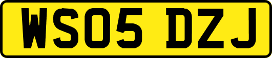 WS05DZJ