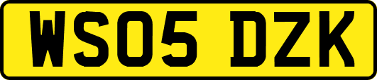 WS05DZK