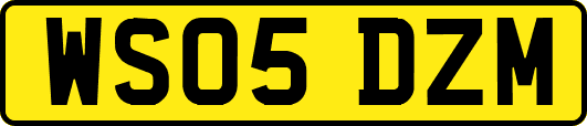WS05DZM