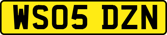 WS05DZN