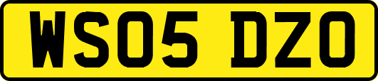 WS05DZO