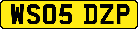 WS05DZP