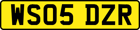 WS05DZR