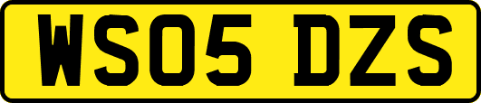 WS05DZS