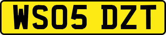 WS05DZT
