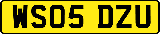 WS05DZU
