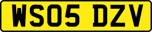 WS05DZV