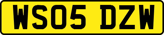 WS05DZW