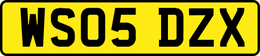 WS05DZX