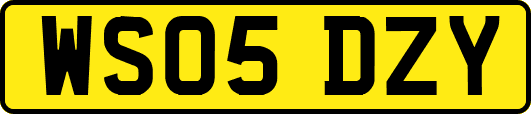 WS05DZY