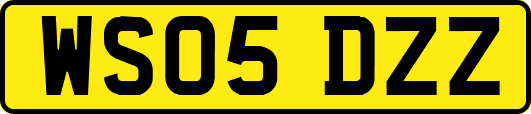 WS05DZZ